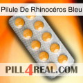 Pilule De Rhinocéros Bleu levitra1